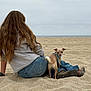 Benji joined the competition — help win amazing prizes! beach, sand, person, dog, jeans, gray_sweater, long_hair, watch, small_dog, leash, boots, casual, outdoor, cloudy_sky, relaxed, seaside, sitting, pet, companion, nature
