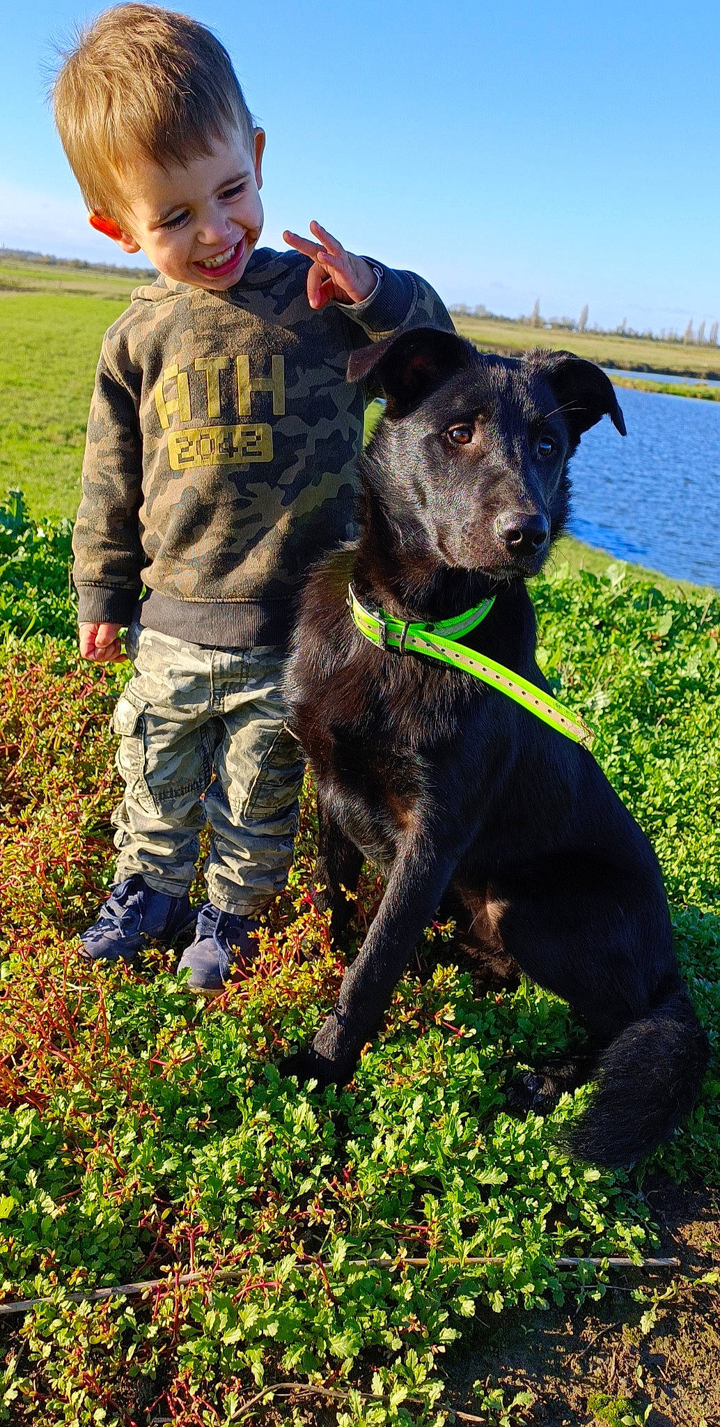 Këssim participe au concours pour gagner de l'argent avec cette photo : borador, carnivore, collar, companion_dog, dog, dog_breed, dog_collar, grass, grassland, gun_dog, happy, joy, lake, person, plant, pointing_breed, retriever, sky, sporting_group, t_shirt