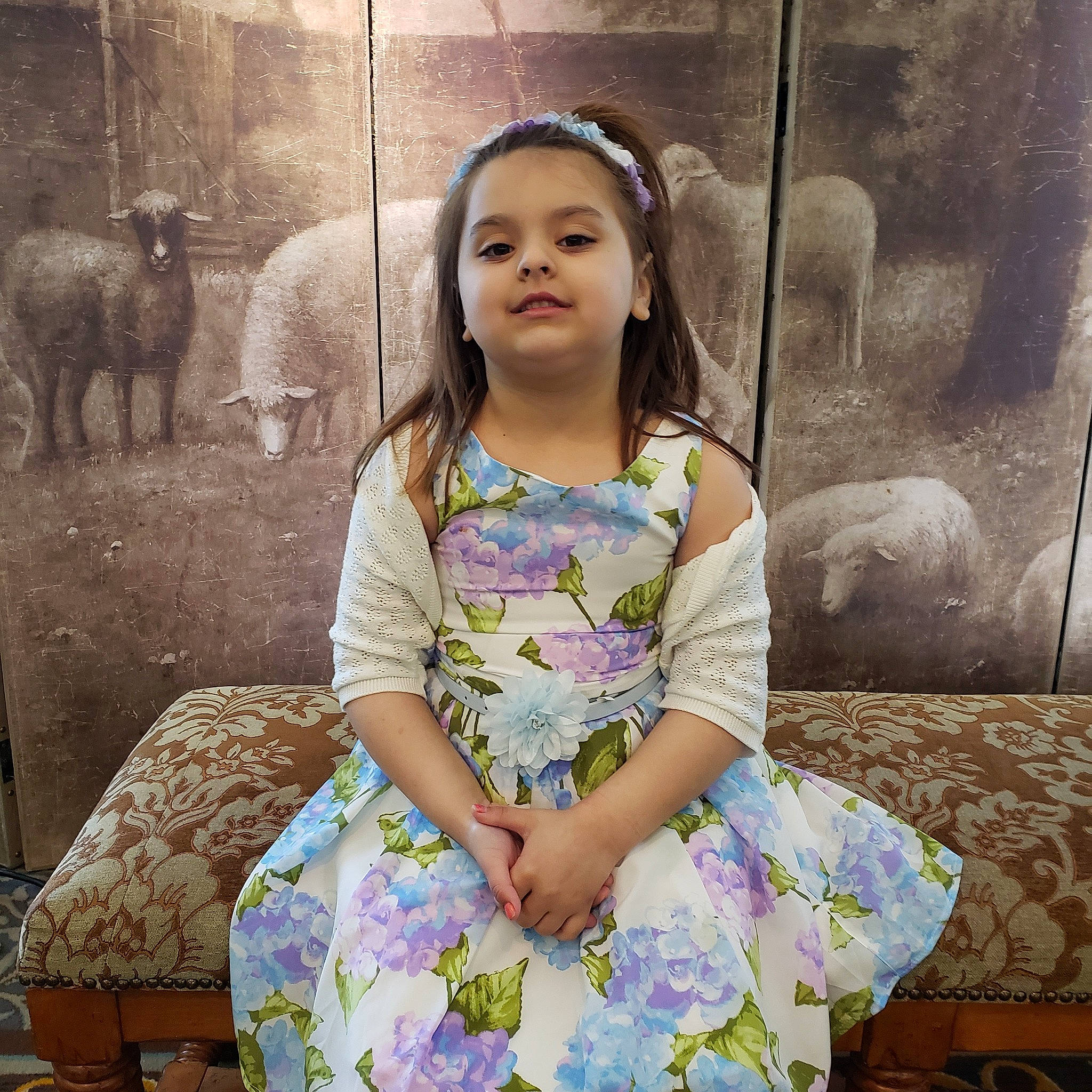 Karleigh joined the competition — help win amazing prizes! adaptation, black_hair, child, dress, eye, fawn, human, iris, lady, long_hair, neck, person, sitting, smile