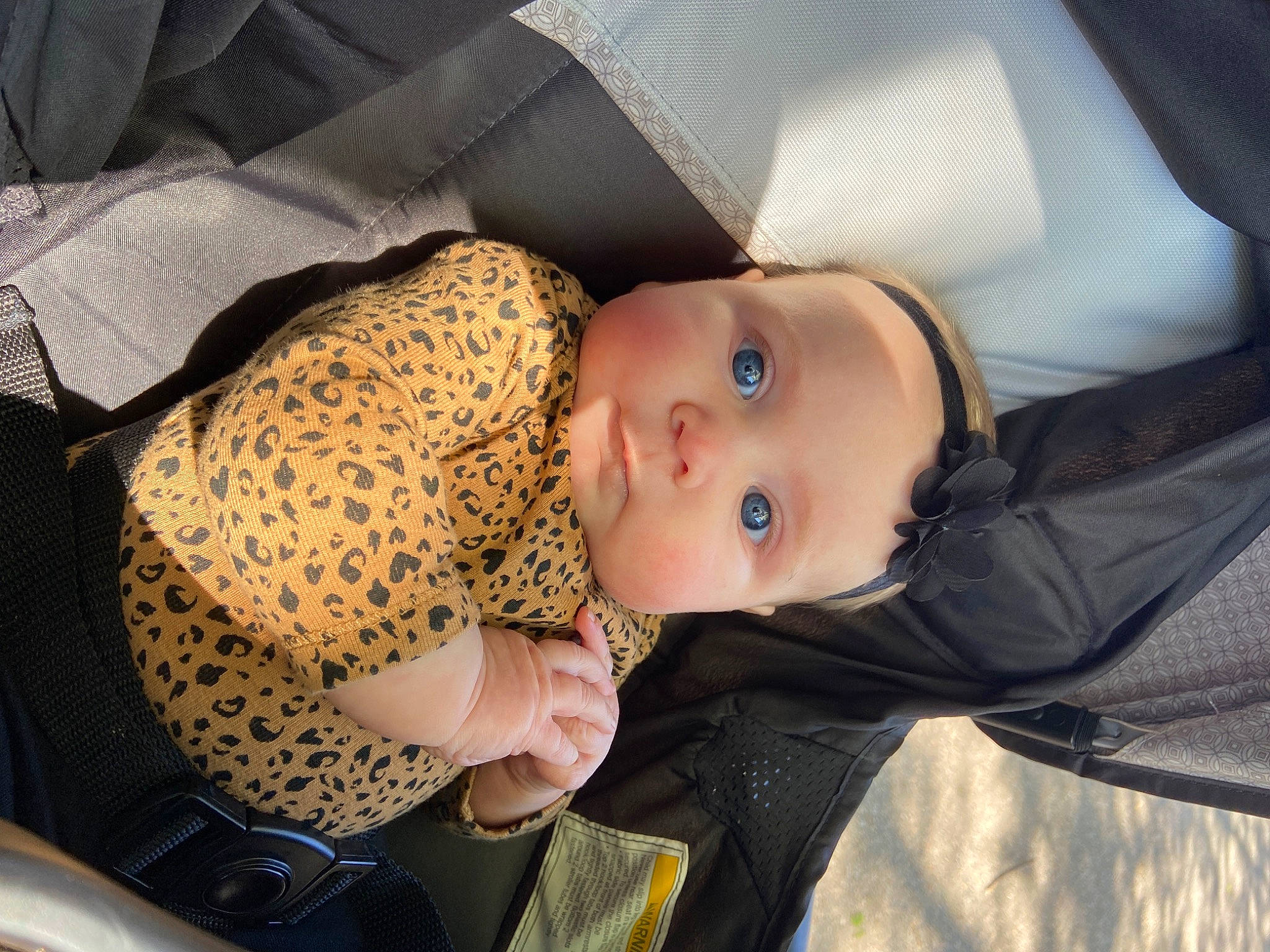 Wrenlyn is registered to the contest to win money with this photo: baby, baby_carriage, baby_products, baby_safety, baby_toddler_clothing, car_seat, cheek, child, comfort, face, nap, person, sitting, skin, sleep, toddler, tree