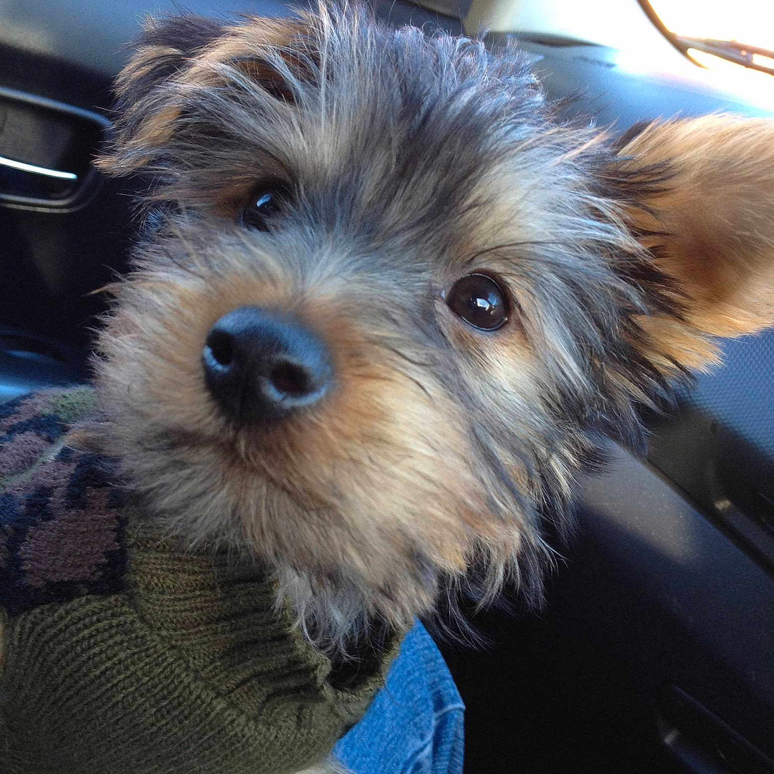 Titch joined the competition — help win amazing prizes!