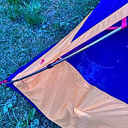 Cowboybabygreenbeans is registered to the contest to win money with this photo: cat, tent, mesh, grass, outdoor, fabric, camping, pet, animal, blue, orange, nature, curious, peek, wildlife, daylight, closeup, recreation, leisure, texture