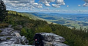 Bear is registered to the contest to win money with this photo: dog, black_dog, rock, mountain, landscape, clouds, sky, outdoor, nature, forest, trees, hiking, leash, collar, tongue_out, scenic, daytime, pet, adventure, happy