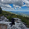 dog, black_dog, rock, mountain, landscape, clouds, sky, outdoor, nature, forest, trees, hiking, leash, collar, tongue_out, scenic, daytime, pet, adventure, happy
