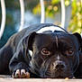 Hycos participe au concours pour gagner de l'argent avec cette photo :