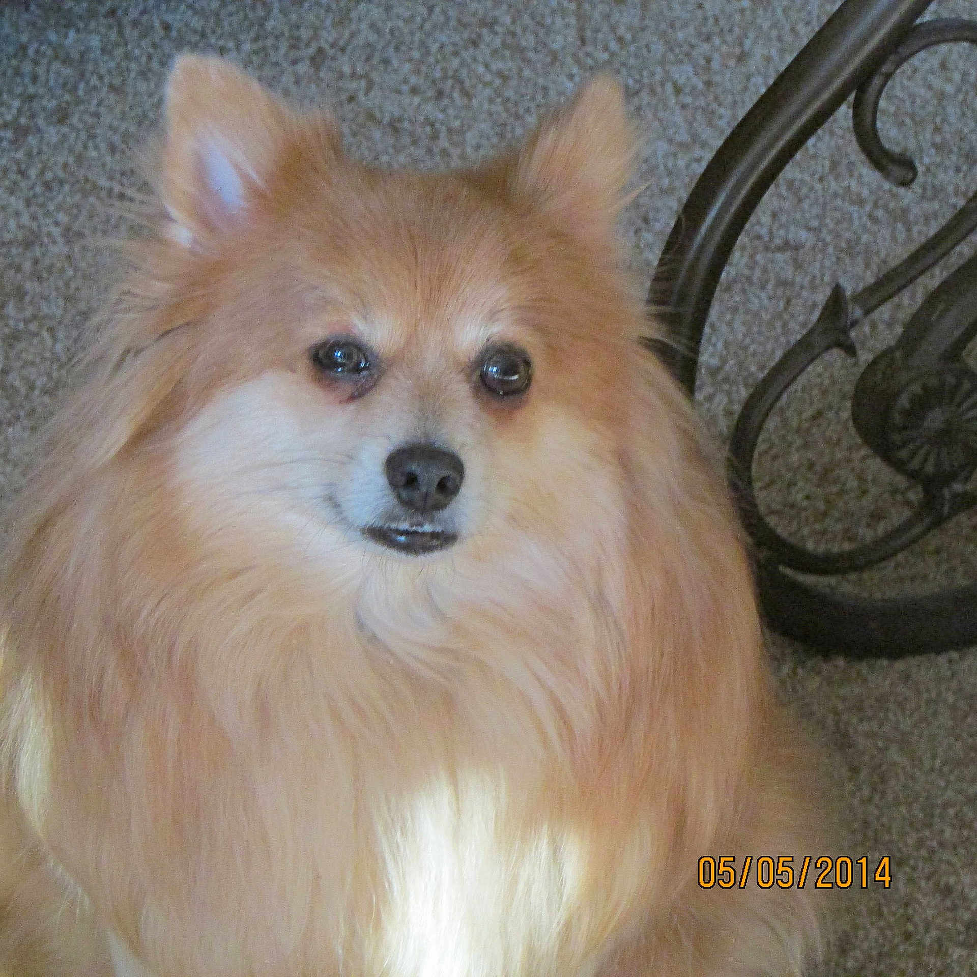 Todd joined the competition — help win amazing prizes!