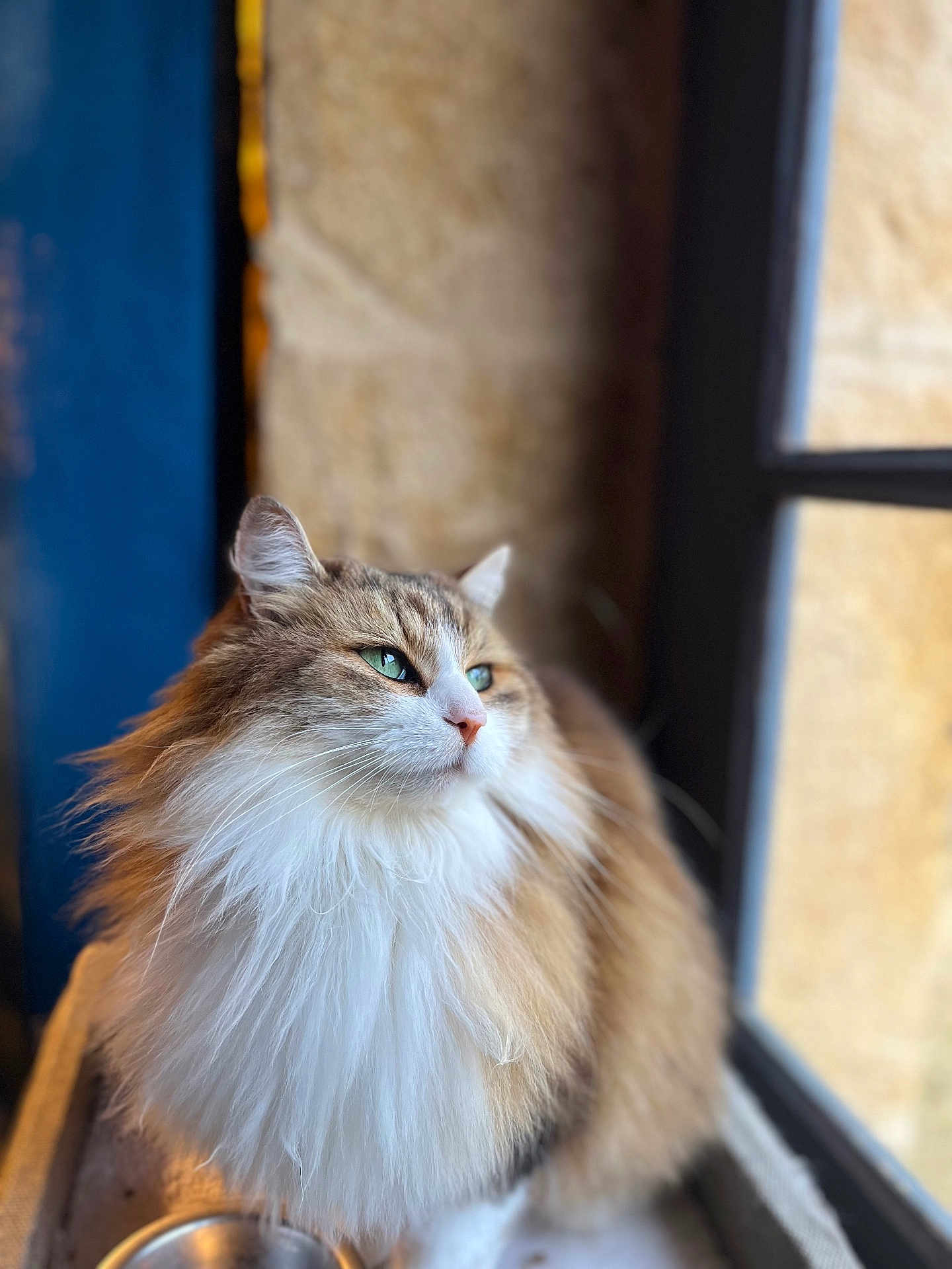 Nala