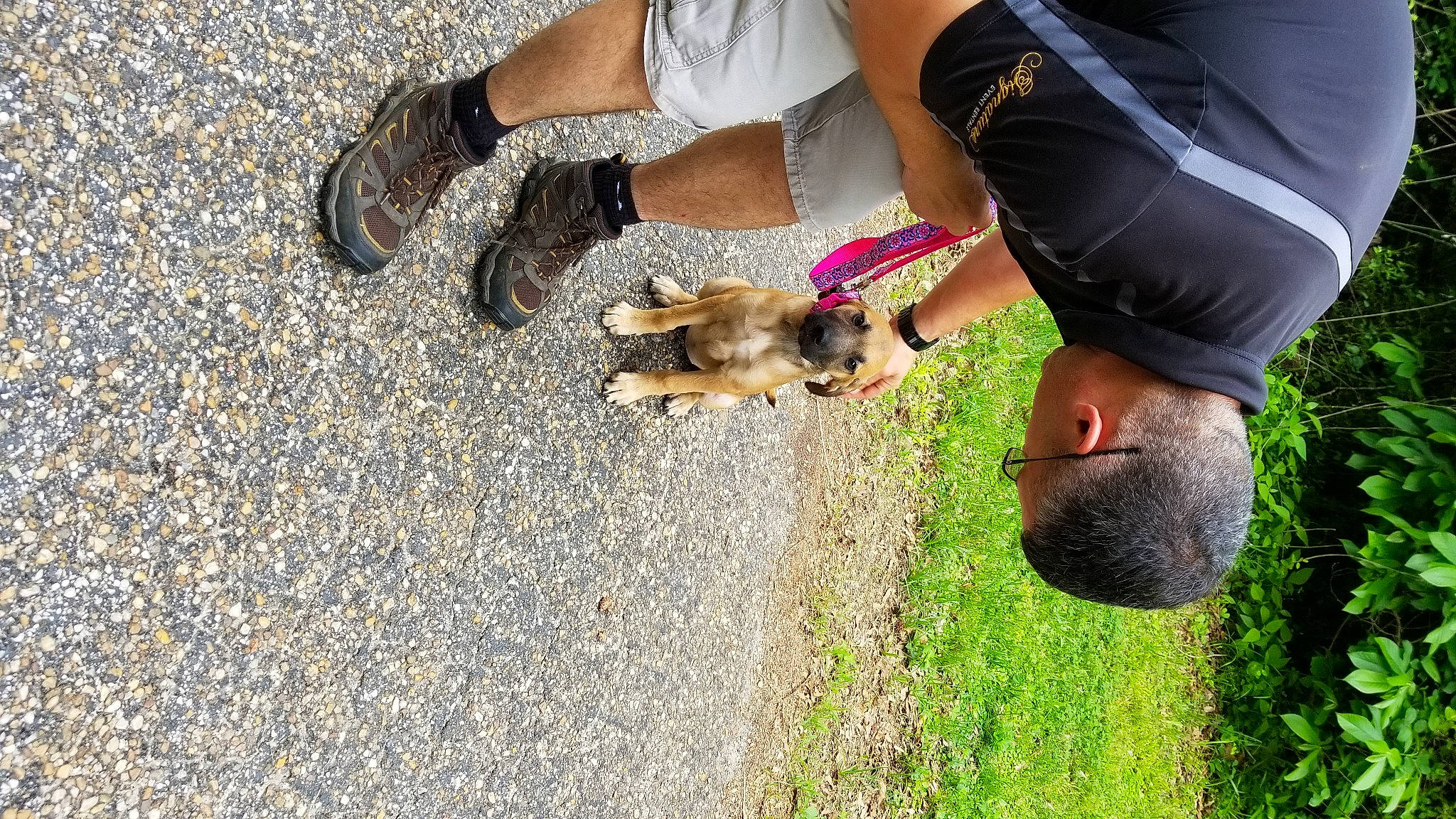 Jezie is registered to the contest to win money with this photo: ankle, bracelet, canidae, carnivore, dog, dog_breed, foot, human, sock, sporting_group, walking_shoe