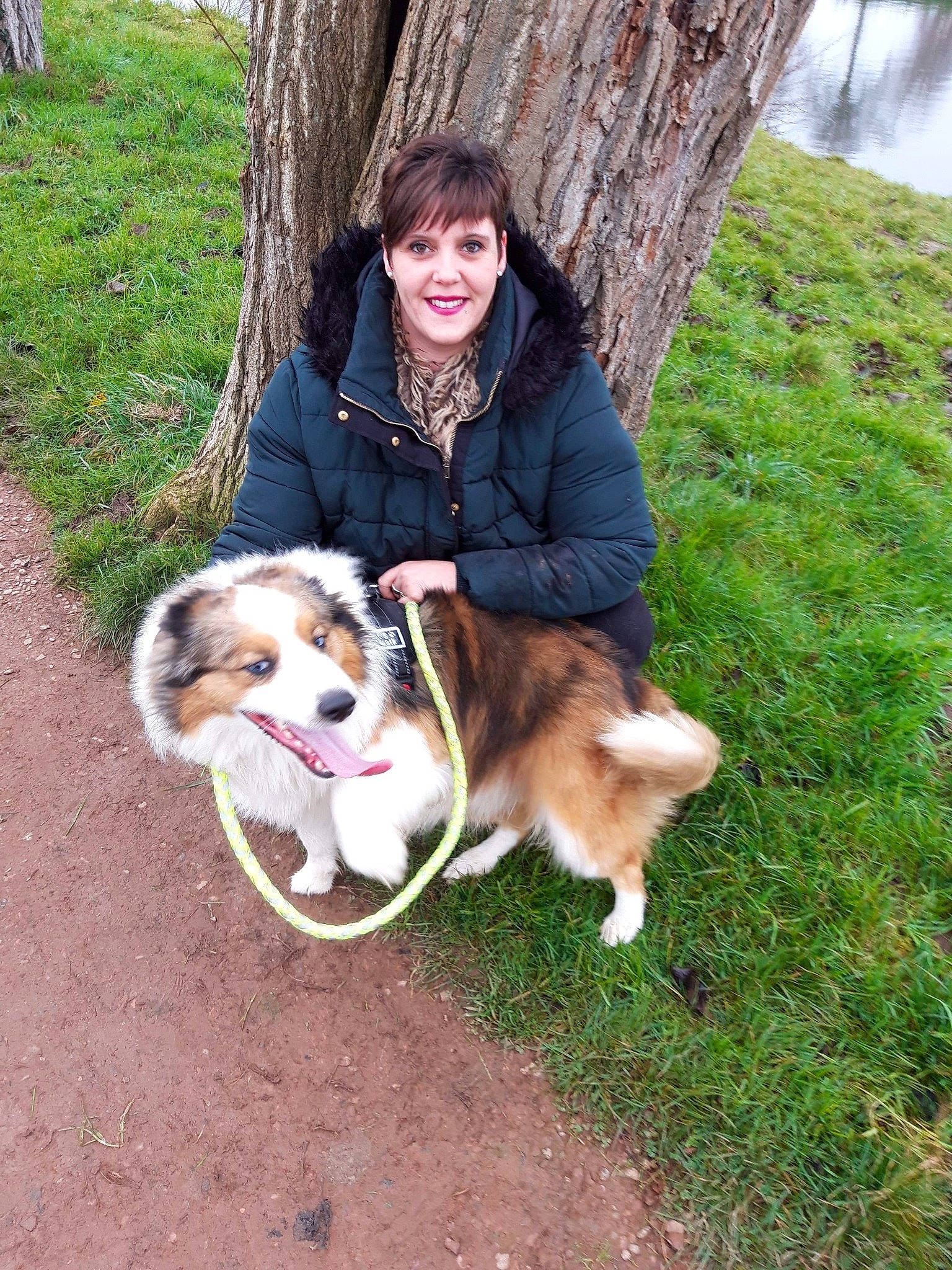 Ody participe au concours pour gagner de l'argent avec cette photo : adventure, australian_shepherd, canidae, carnivore, companion_dog, dog, dog_breed, dog_walking, mammal, miniature_australian_shepherd, siberian_husky, vertebrate, working_dog