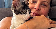 Bella participe au concours pour gagner de l'argent avec cette photo : woman, cat, kitten, close_up, indoor, bed, couch, curtains, snuggling, pet, cute, relaxed, portrait, human, animal, feline, comfort, home, affection, casual