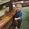 toddler, child, blue_shirt, blonde_hair, wooden_exhibit, glass_enclosure, turtle, aquarium, zoo, green_carpet, indoor, educational_sign, animal, curious, standing, person, exhibit, display, casual_clothing, young_child