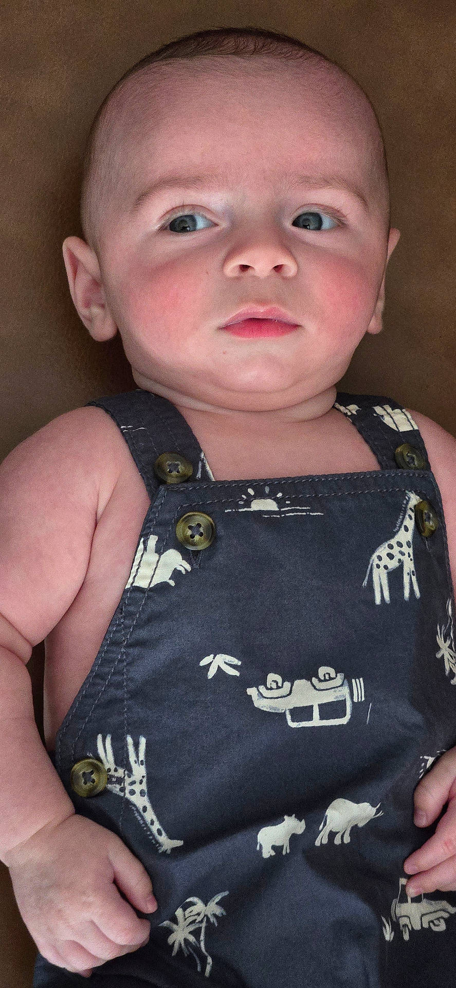 Theodore is registered to the contest to win money with this photo: animal_print, arm, baby, background, button, child, closeup, clothing, cute, expression, eyes, face, hand, indoor, infant, person, portrait, romper, skin, young