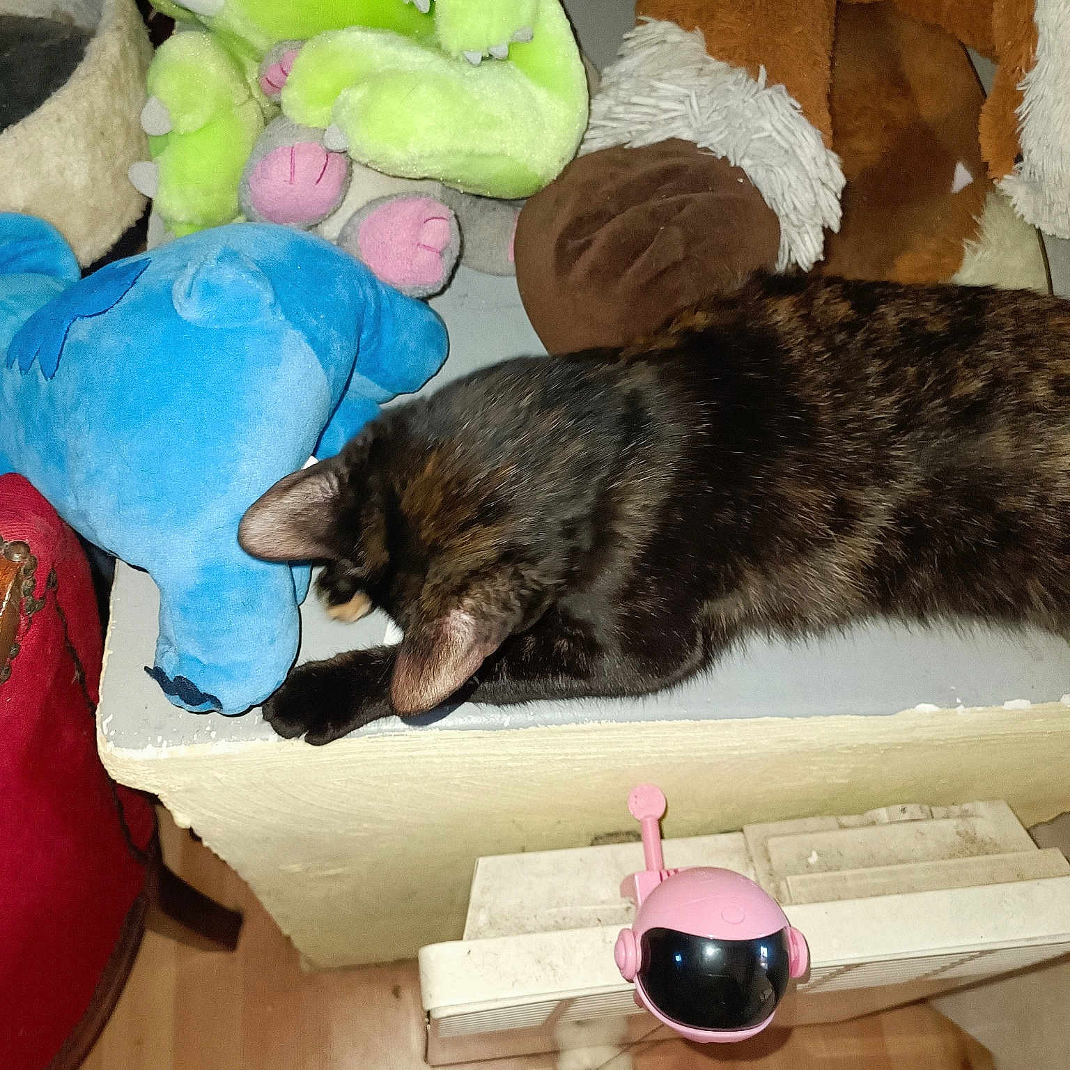 Choco