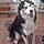 Packo