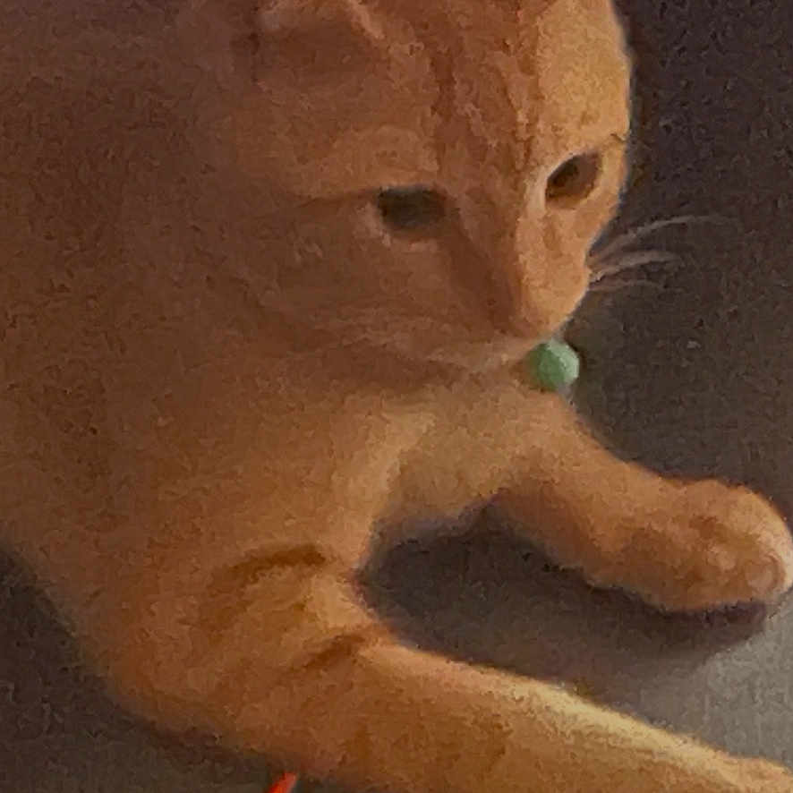 Max is registered to the contest to win money with this photo: cat, orange_cat, feline, pet, animal, sleepy, sitting, lying_down, whiskers, ears, eyes, paws, fur, orange_fur, indoor, couch, toy, orange_object, portrait, relaxed