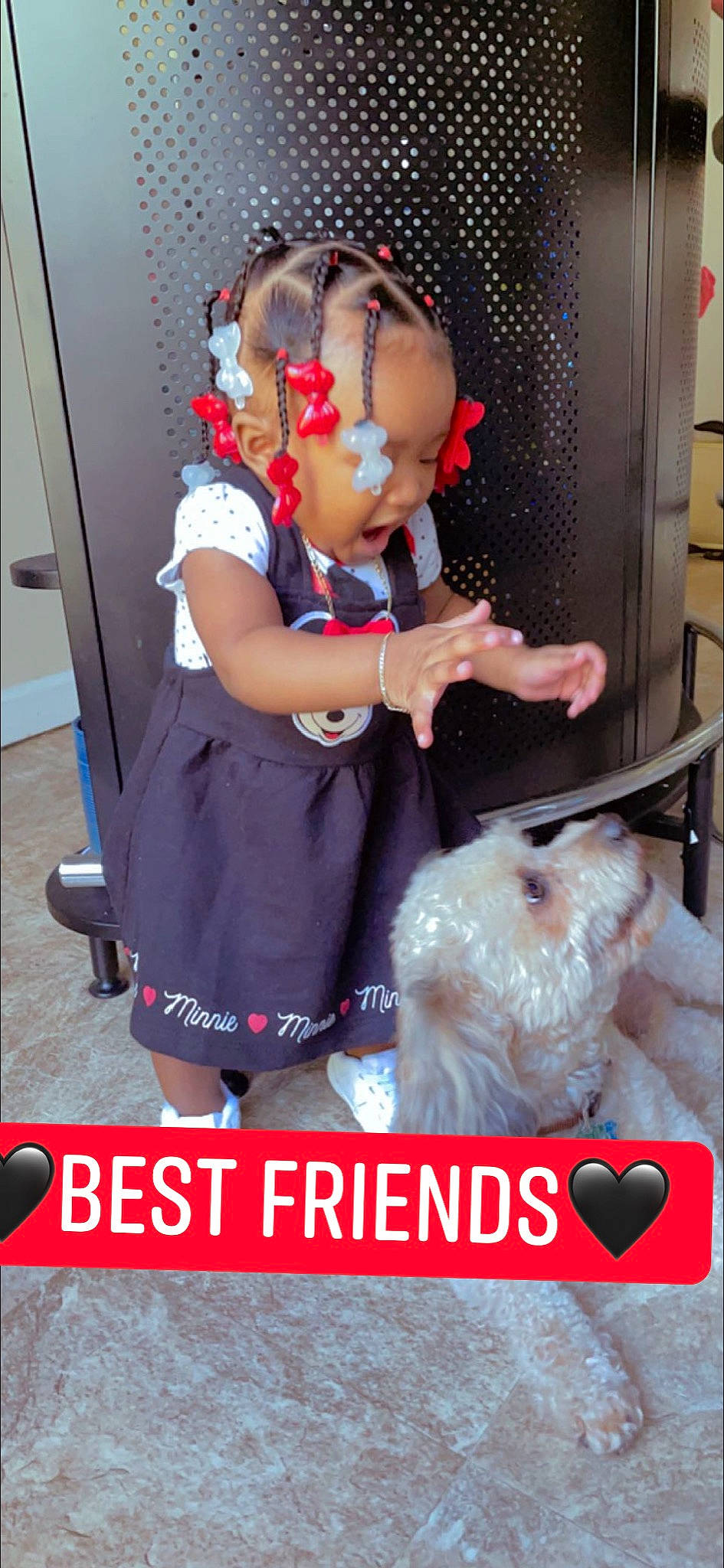 Onijujuah is registered to the contest to win money with this photo: baby, canidae, carnivore, child, companion_dog, dog, dog_breed, event, eyewear, fun, fur, happy, non_sporting_group, person, photo_caption, photography, sandal, sporting_group, terrier, toddler