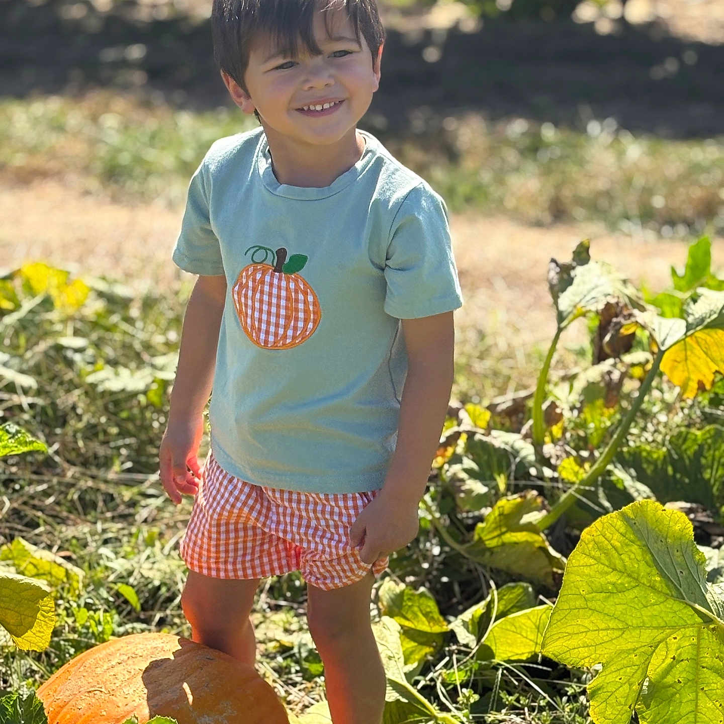 Caden joined the competition — help win amazing prizes! child, boy, smiling, outdoor, pumpkin, pumpkin_patch, garden, plants, leaves, nature, sunlight, portrait, standing, shorts, t_shirt, gingham, vegetable_garden, autumn, happy, photography