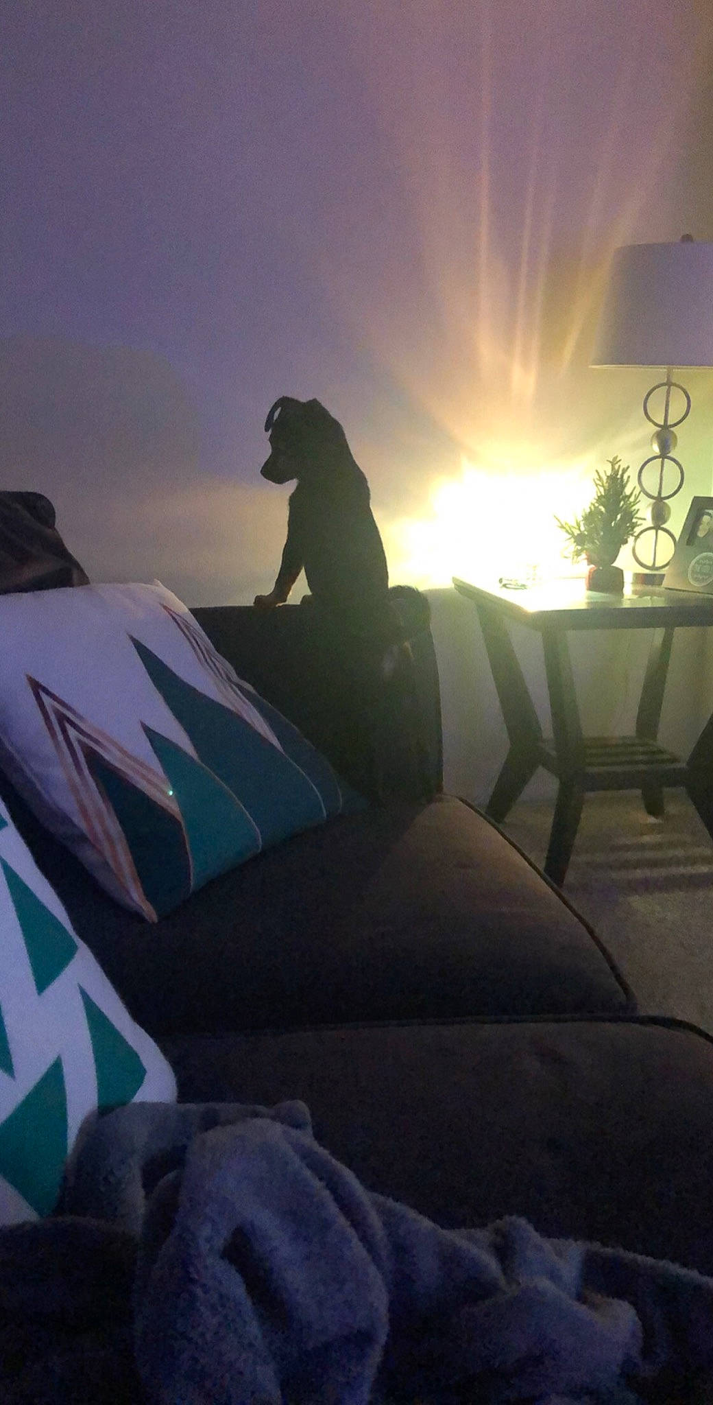 Skye is registered to the contest to win money with this photo: backlighting, bed, bed_sheet, bedding, bedroom, centrepiece, heat, home, home_accessories, houseplant, lamp, lampshade, lens_flare, lighting, lighting_accessory, linens, room, sunlight, teal, textile