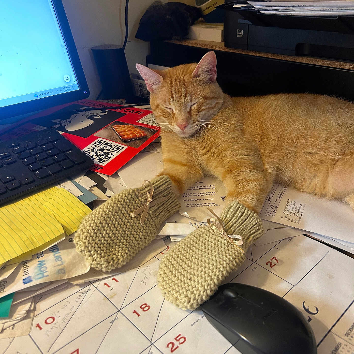 Pikachu joined the competition — help win amazing prizes! calendar, cat, clutter, computer_keyboard, computer_mouse, cozy, desk, feline, ginger_cat, indoor, knitted, mittens, nap, office, orange_cat, papers, printer, relaxed, sleeping, workspace