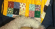 Pikachu is registered to the contest to win money with this photo: bed, cat, chair, comfort, cozy, feline, fluffy, fur, ginger_cat, home, indoor, knitted_blanket, nap, patchwork_quilt, quiet, relaxation, resting, sleeping, soft, warm
