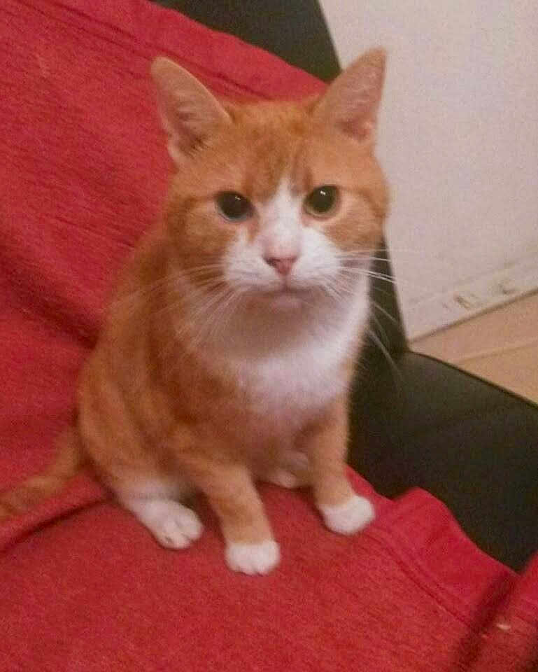 Caramel