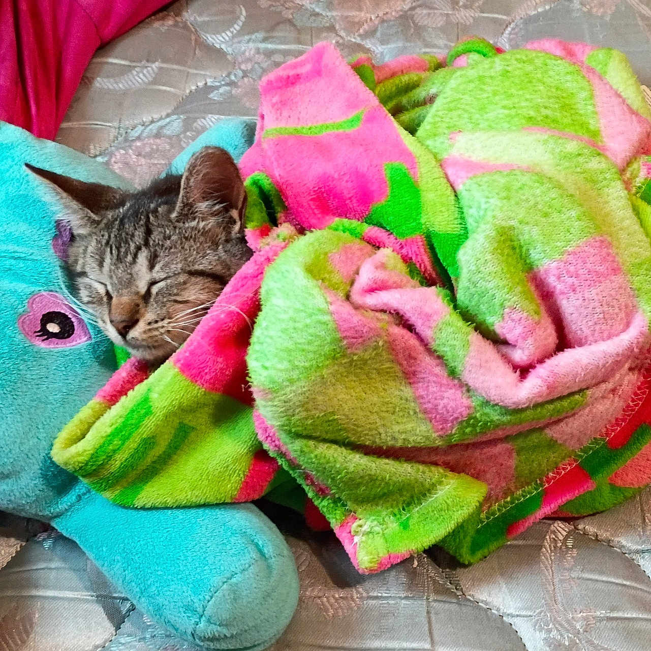 Simba
