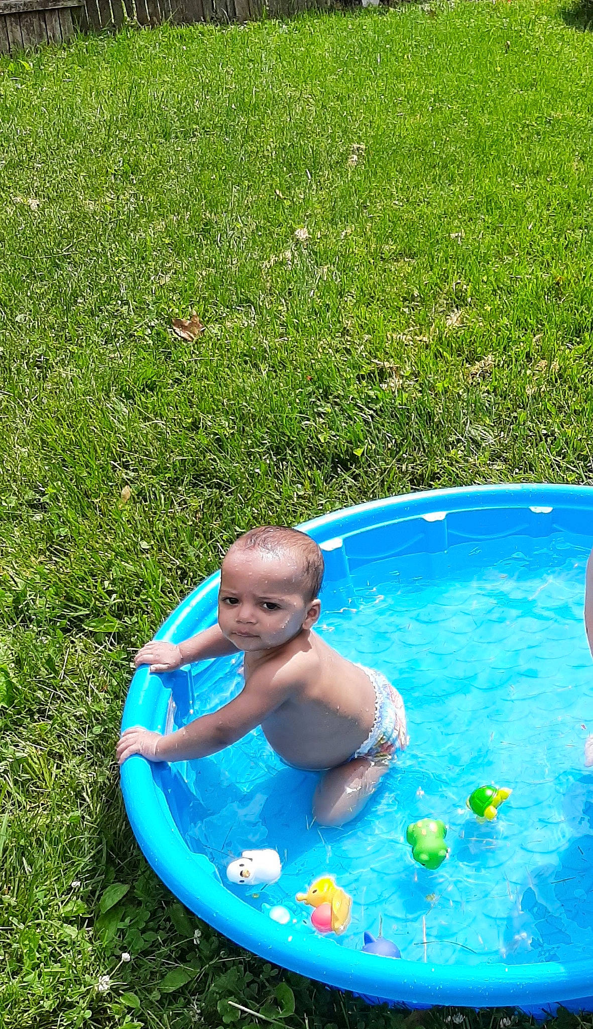 Atticus Matias is registered to the contest to win money with this photo: aqua, azure, baby_bathing, ball, bath_toy, bathing, blue, fun, grass, green, inflatable, leisure, nature, outdoor_recreation, person, recreation, summer, swimming_pool, toddler, toy
