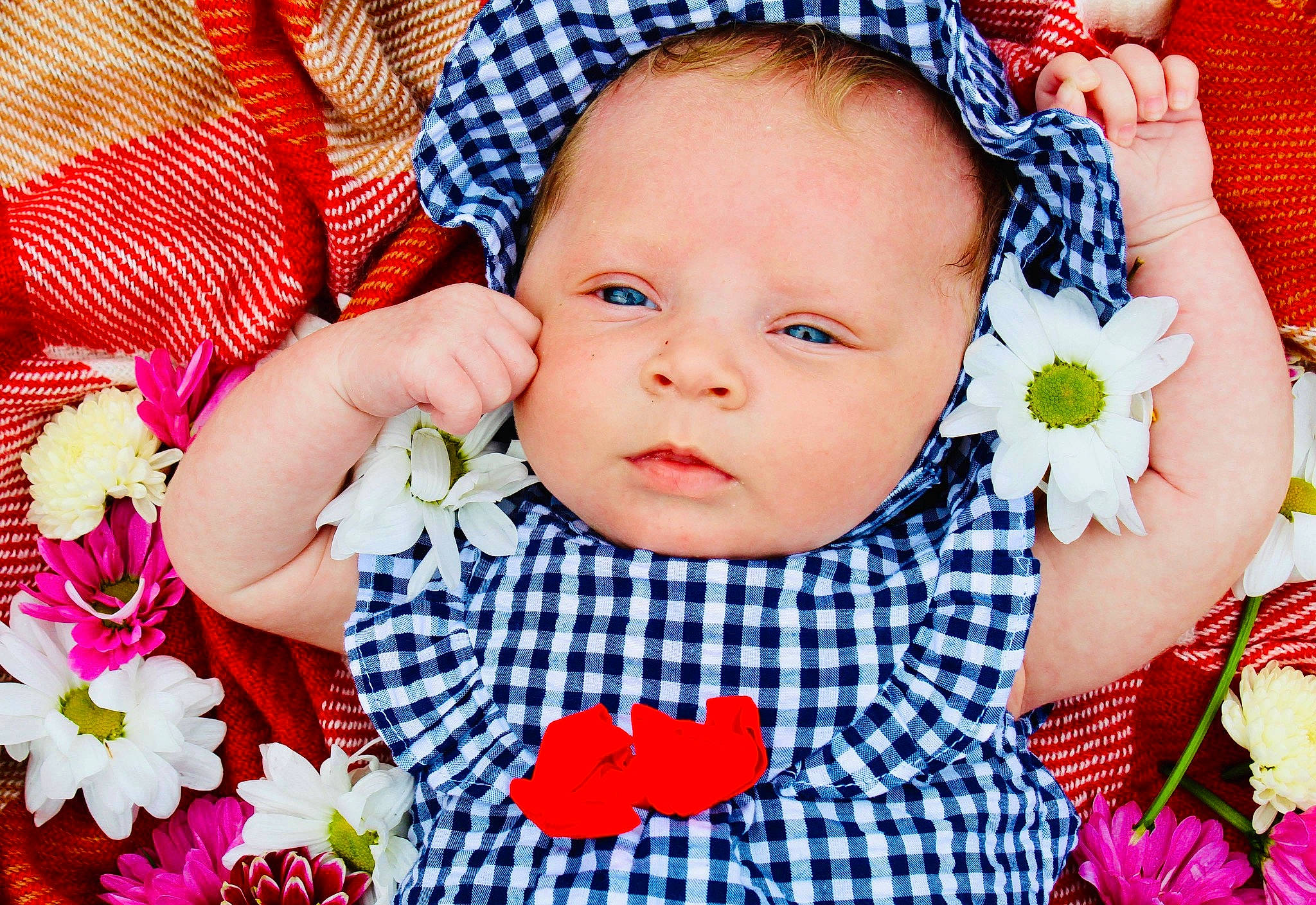Alyvia joined the competition — help win amazing prizes! baby, baby_toddler_clothing, cheek, child, design, face, fashion_accessory, flower, hair_accessory, happy, headgear, pattern, person, photography, plant, skin, textile, toddler