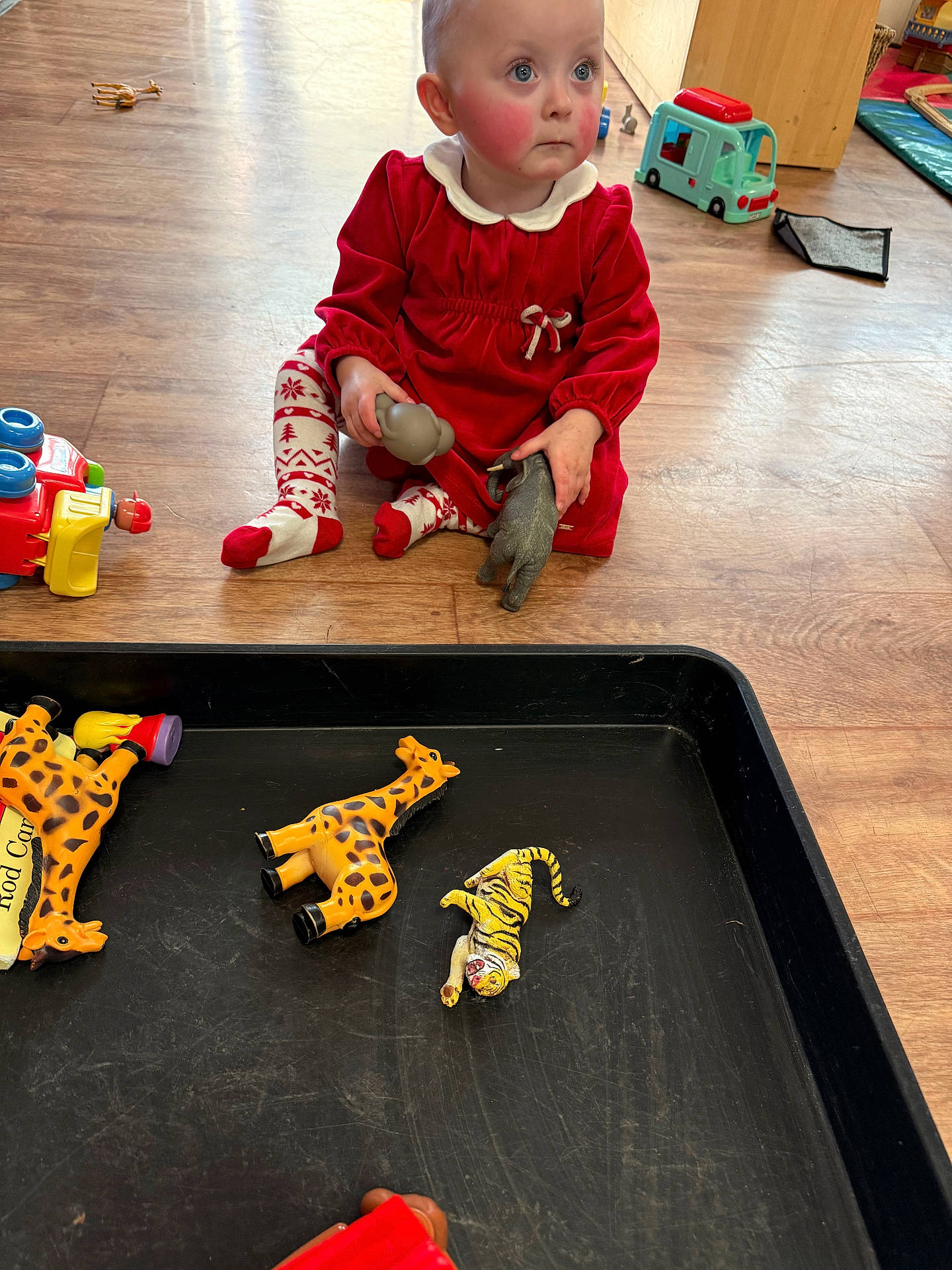 animal_toy, bright, child, curious, cute, floor, giraffe, indoor, patterned_socks, person, plastic_toy, playing, playroom, red_dress, sitting, tiger, toddler, toy, wooden_floor, young_child