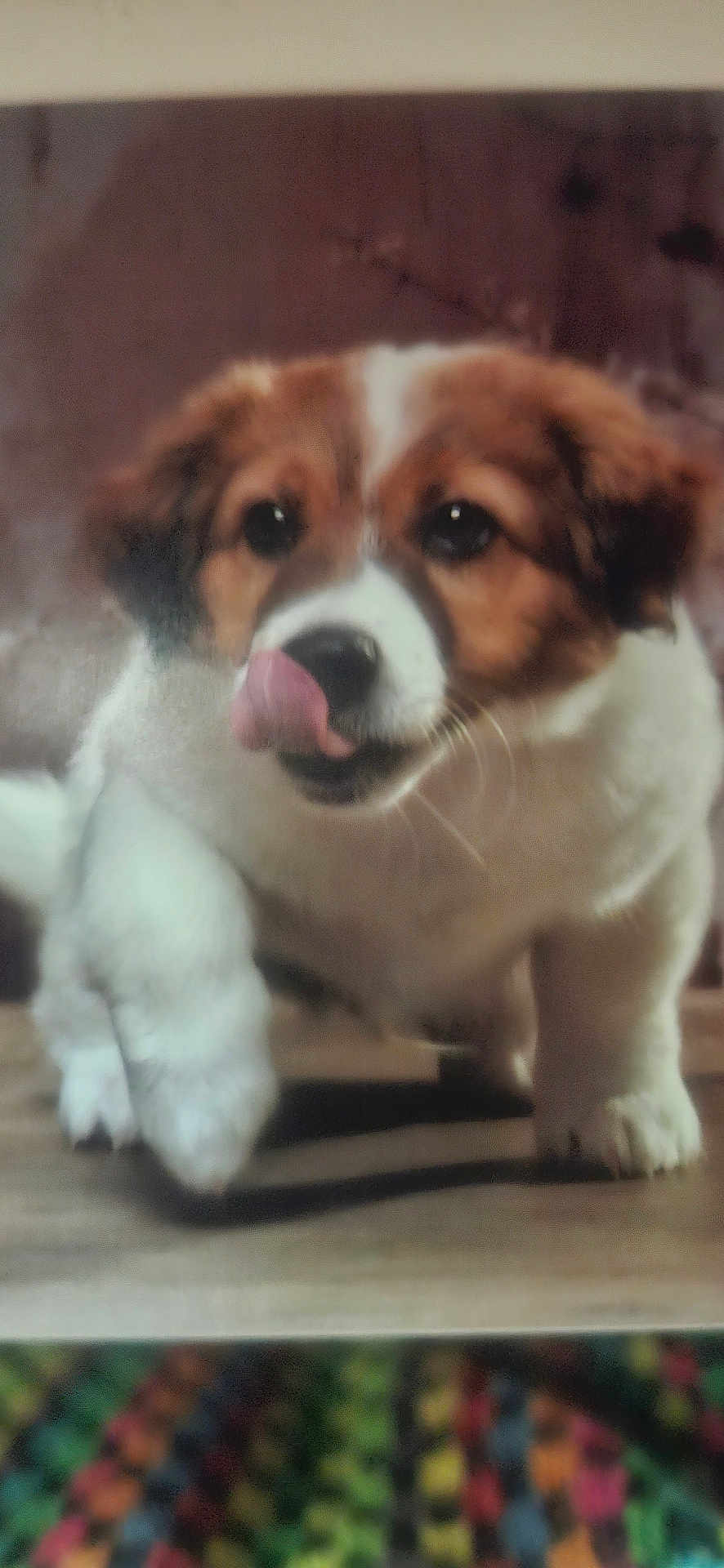 Hubert