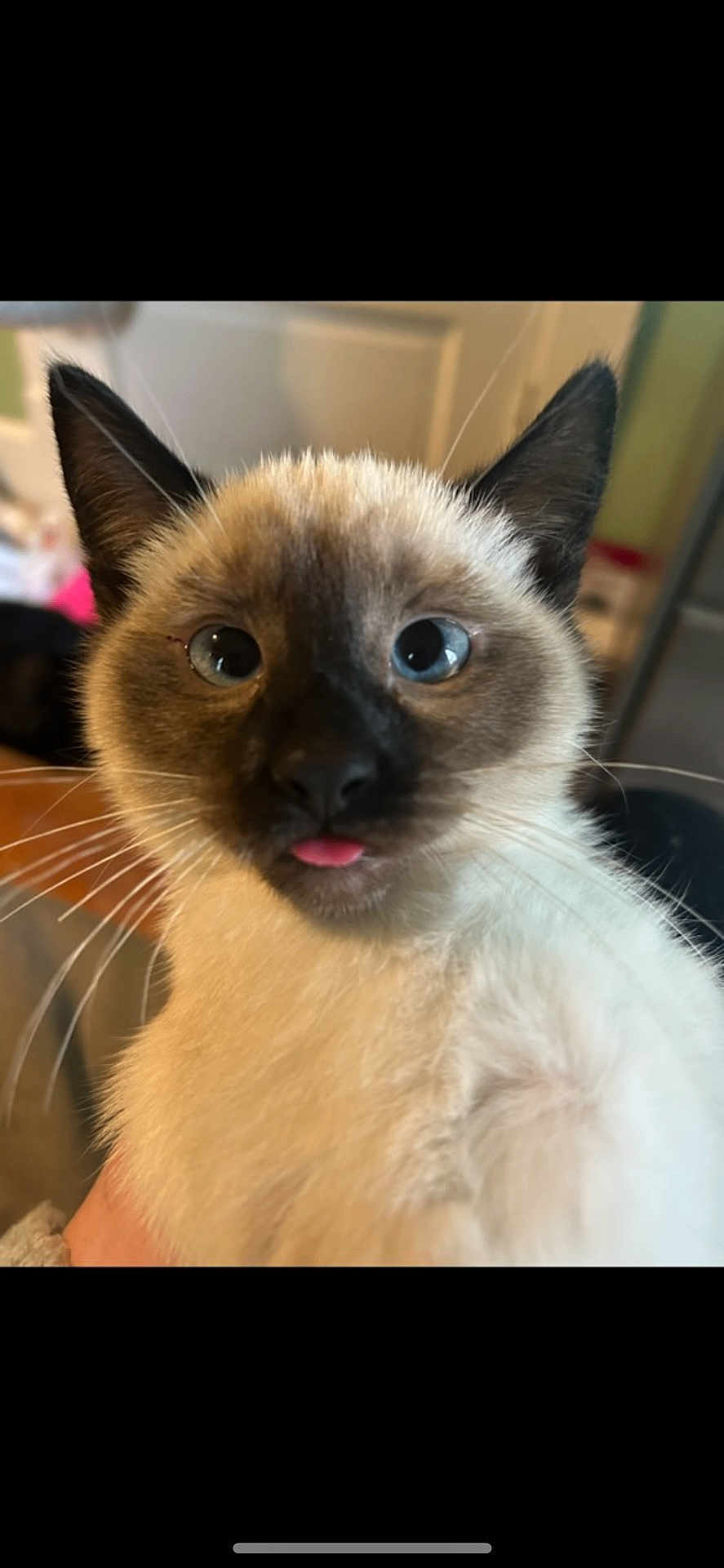 Thumbalina