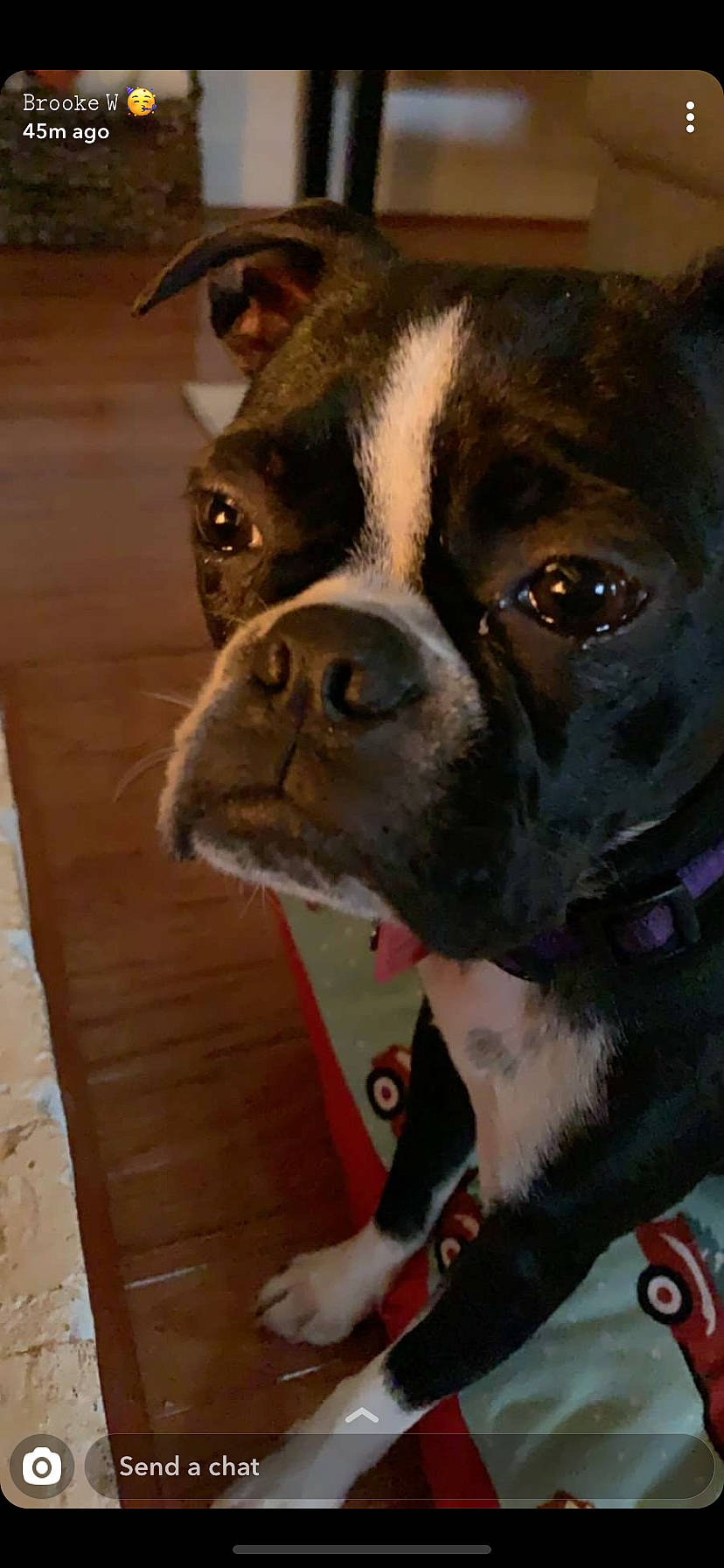 Dangeler Sizzle Poop