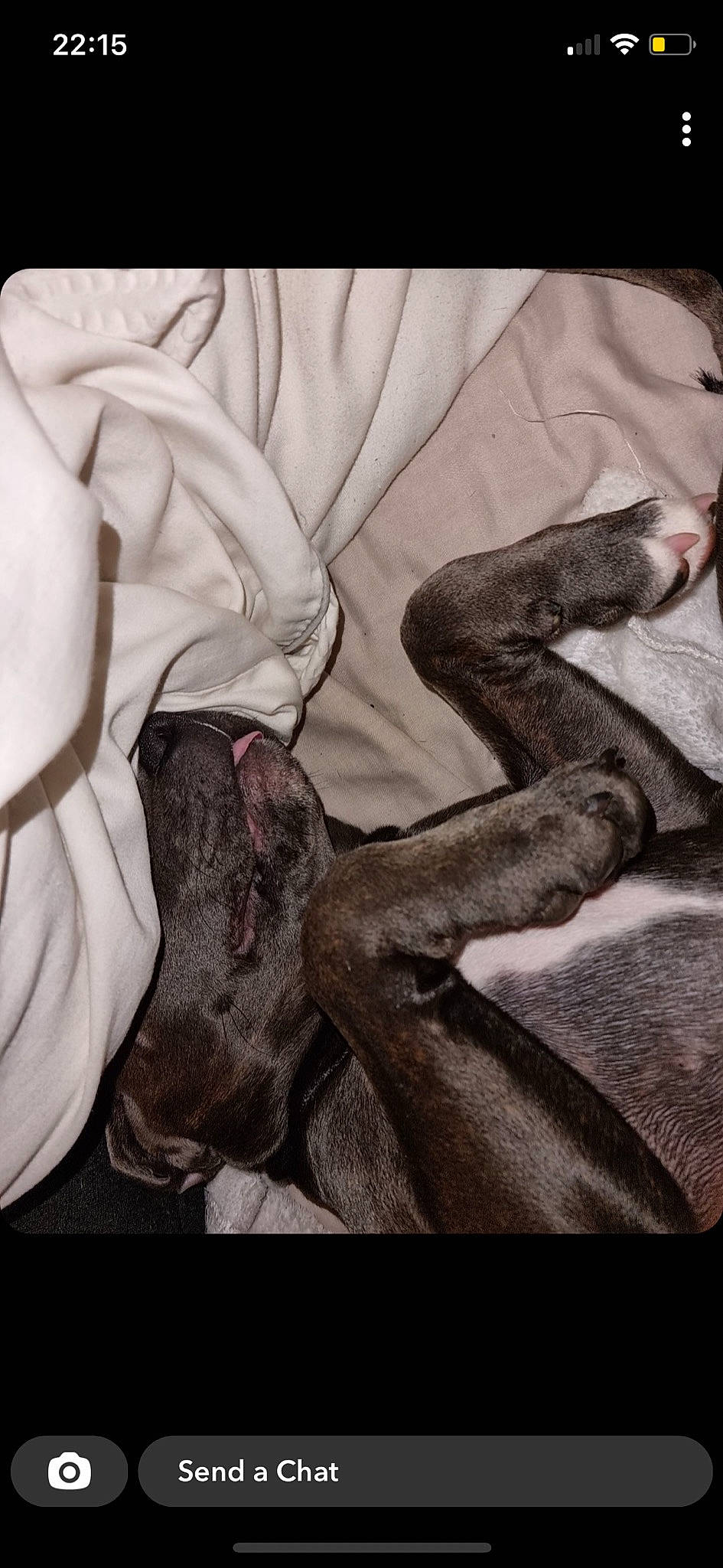 Bonnie joined the competition — help win amazing prizes! art, chest, drawing, fictional_character, figure_drawing, gesture, human_leg, illustration, linens, monochrome, monochrome_photography, painting, pattern, petal, plant, still_life_photography, stock_photography, textile, visual_arts, wrist