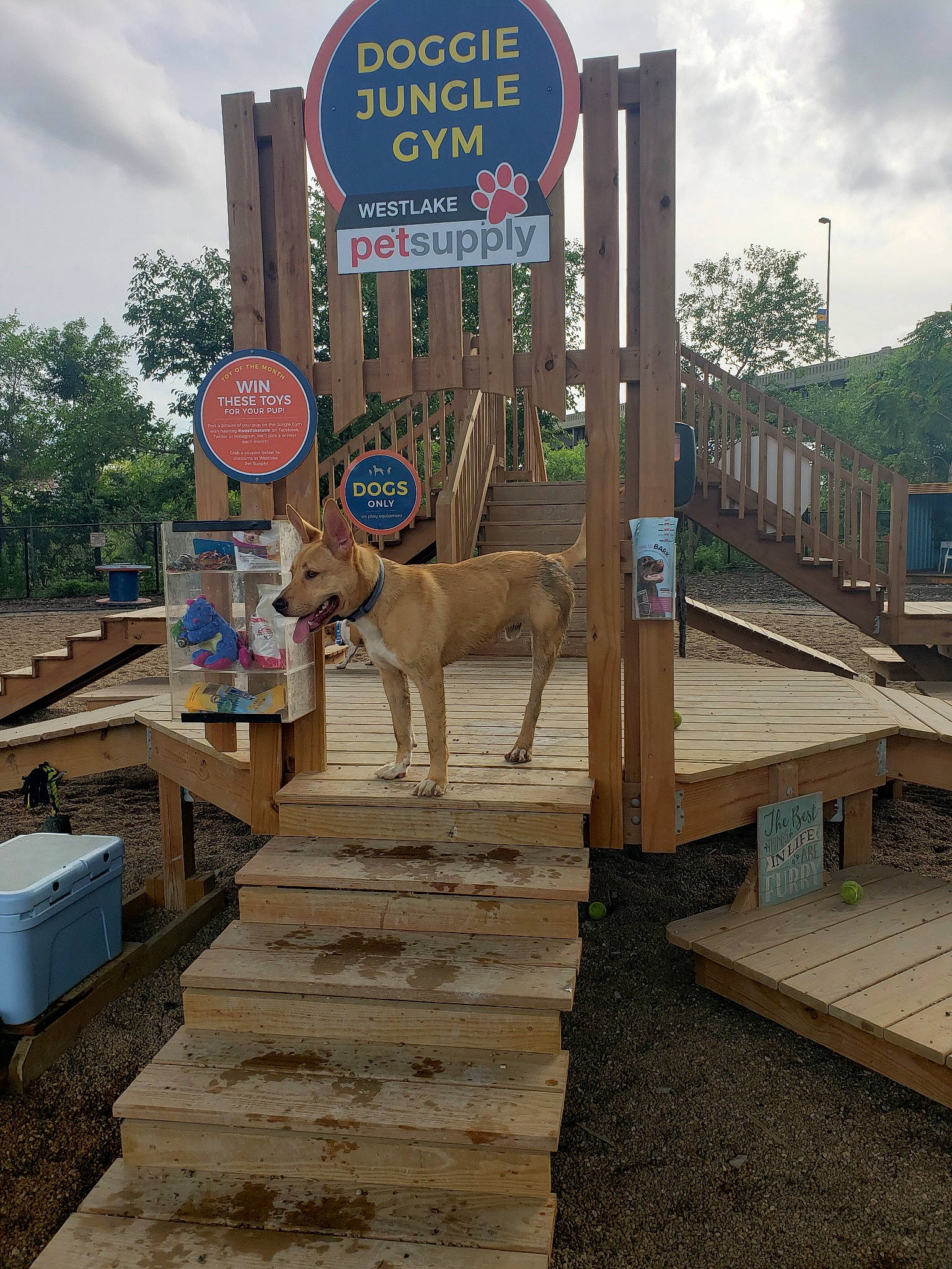 Jetson joined the competition — help win amazing prizes! canidae, fawn, national_park, sign, signage, vacation, wildlife, wood