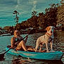 woman, dog, kayak, water, lake, paddle, outdoor, trees, sky, sunlight, summer, nature, recreation, animal, pet, smile, relaxation, adventure, vacation, leisure