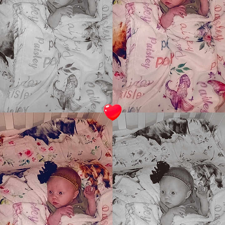 Paisley joined the competition — help win amazing prizes! animal, baby, bed, bedroom, blanket, cattle, clothing, cow, crib, face, furniture, hat, head, indoors, infantbed, livestock, newborn, person, photography, portrait