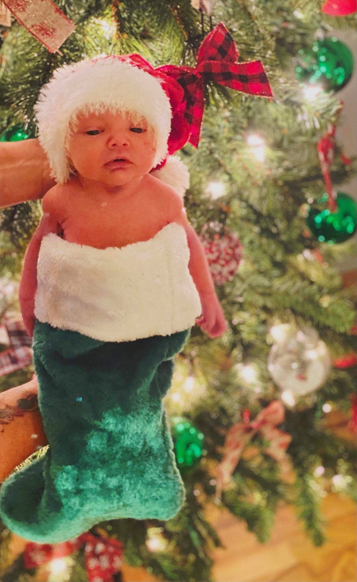 Gary joined the competition — help win amazing prizes! cap, christmas, christmas_decoration, christmas_eve, christmas_ornament, christmas_tree, event, fun, green, happy, headwear, holiday, holiday_ornament, human_body, lawn_ornament, ornament, outerwear, person, tradition, tree