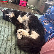 Figaro is registered to the contest to win money with this photo: cat, black_and_white_cat, sleeping_cat, fluffy_cat, pet, indoor, blanket, pajamas, cartoon_print, floor, cozy, resting, cute, feline, relaxation, home, soft_texture, animal, whiskers, paw