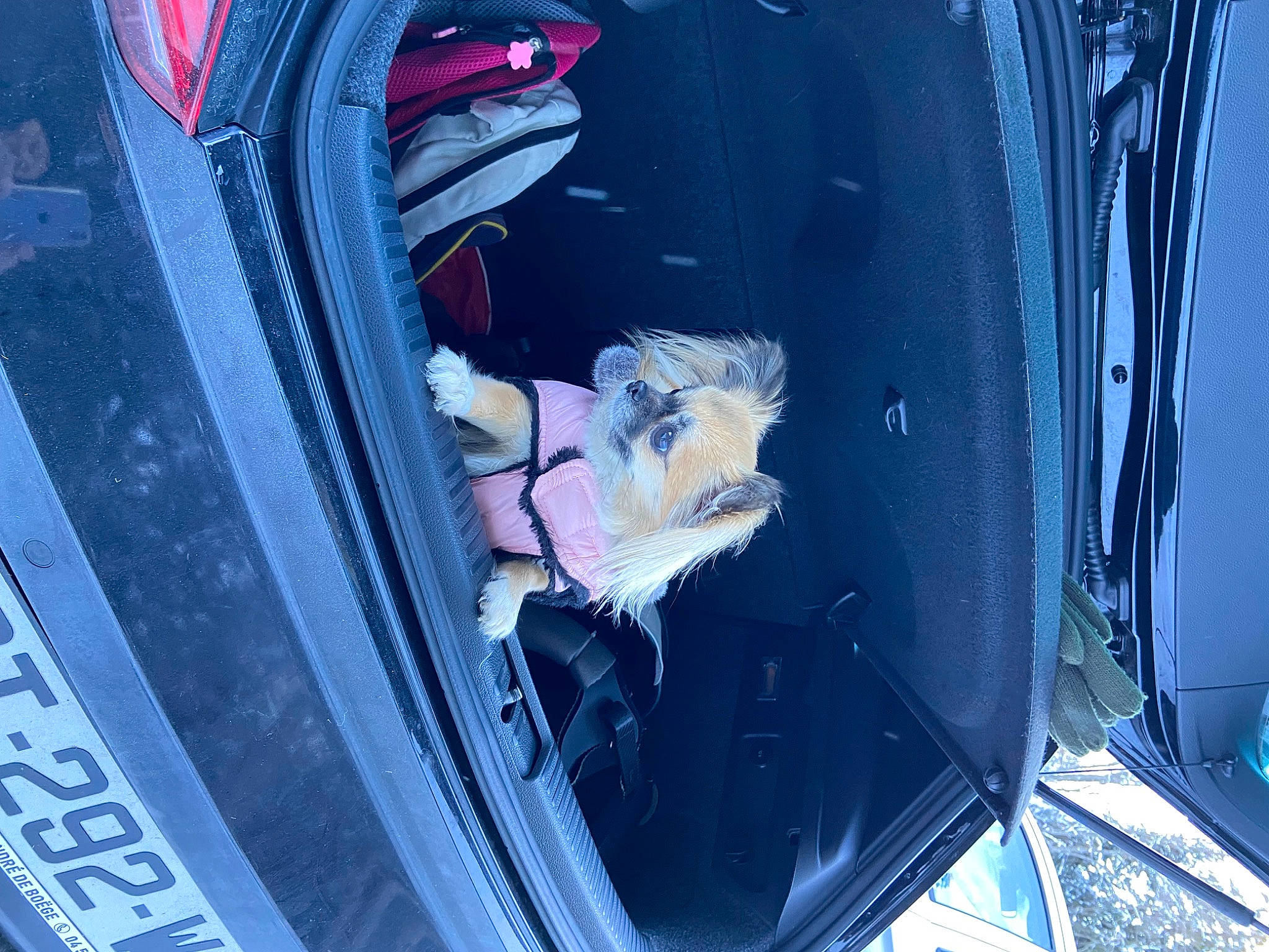 Schanel participe au concours pour gagner de l'argent avec cette photo : auto_part, automotive_design, automotive_exterior, automotive_lighting, automotive_tire, automotive_wheel_system, bumper, car, electric_blue, fender, hood, motor_vehicle, personal_luxury_car, purple, rim, trunk, vehicle, vehicle_door, wheel, window