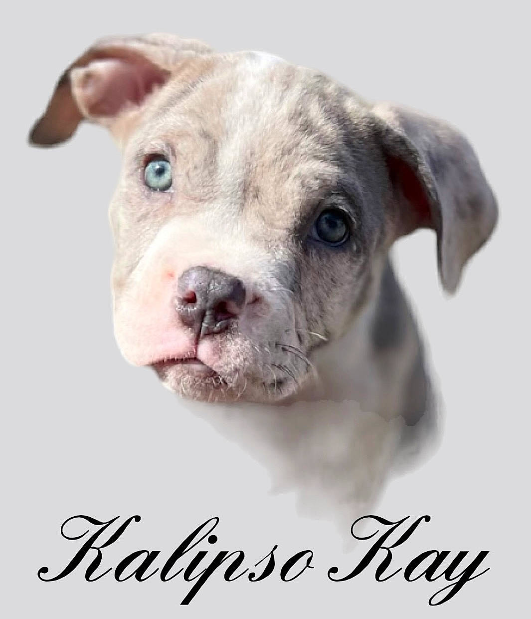 Kalipso Kay