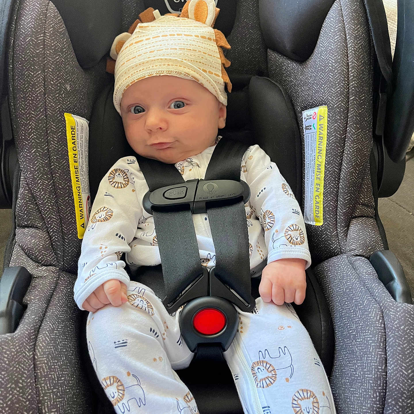Maverick joined the competition — help win amazing prizes! baby, bonnet, cap, car, car_interior, carseat, clothing, face, happy, hat, head, pants, person, photography, portrait, sitting, sleeping, smile, transportation, vehicle