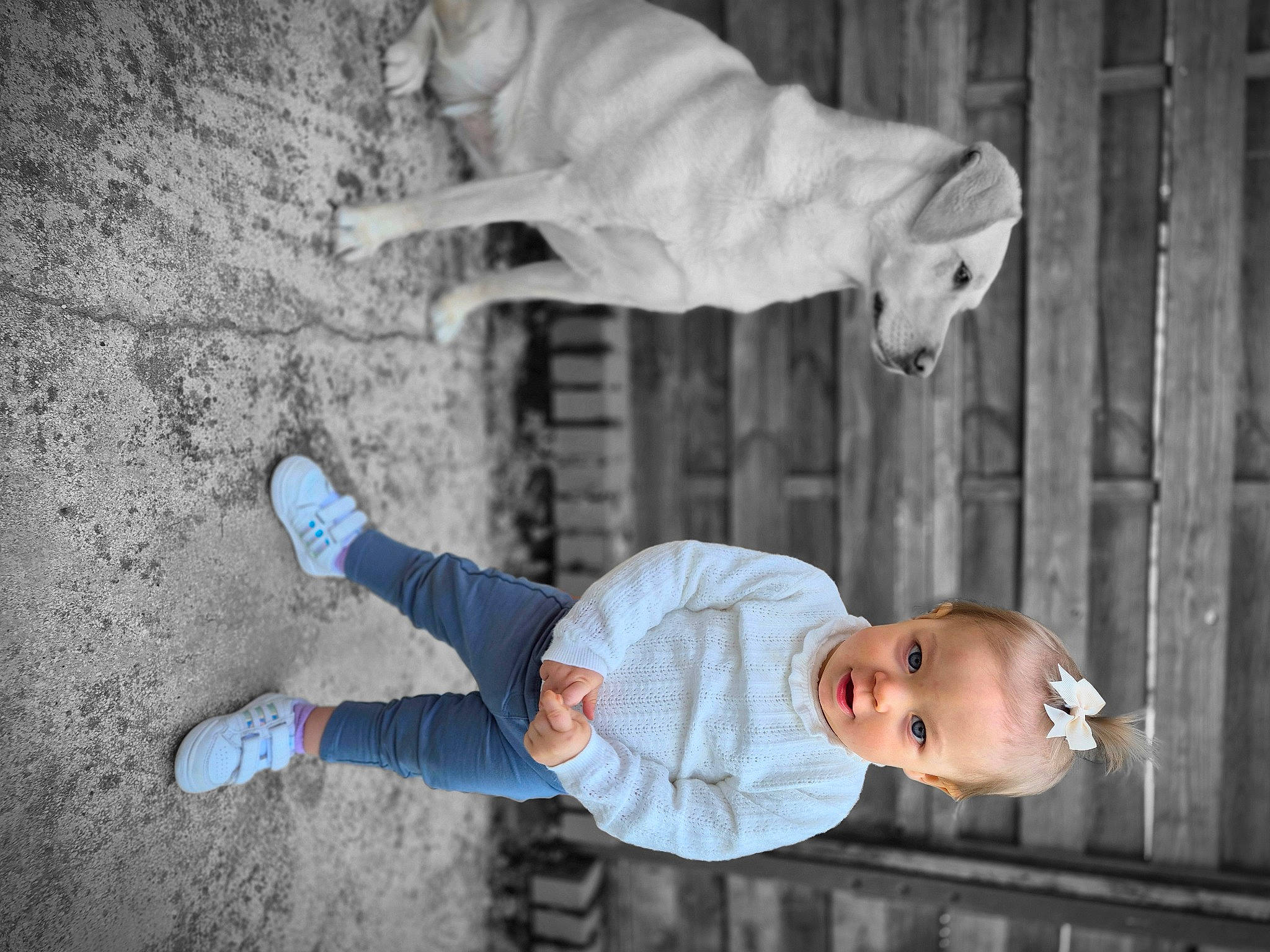 Ambre participe au concours pour gagner de l'argent avec cette photo : baby, baby_toddler_clothing, black, child, flooring, happy, human_leg, monochrome, monochrome_photography, person, photograph, sitting, standing, street, t_shirt, toddler, tree, walking_shoe, white, wood