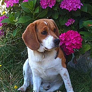 Floyd a rejoint le concours — aidez-le/la à gagner de superbes lots !