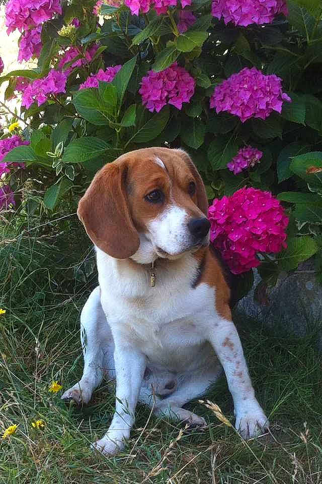 Floyd a rejoint le concours — aidez-le/la à gagner de superbes lots !