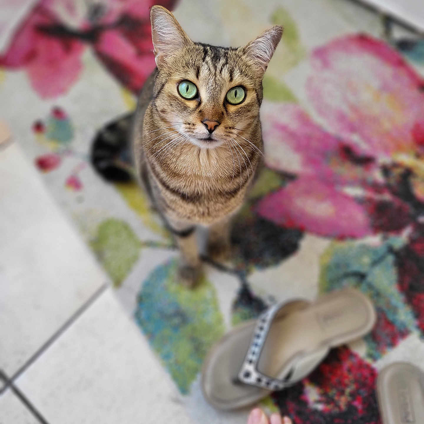 Oliver