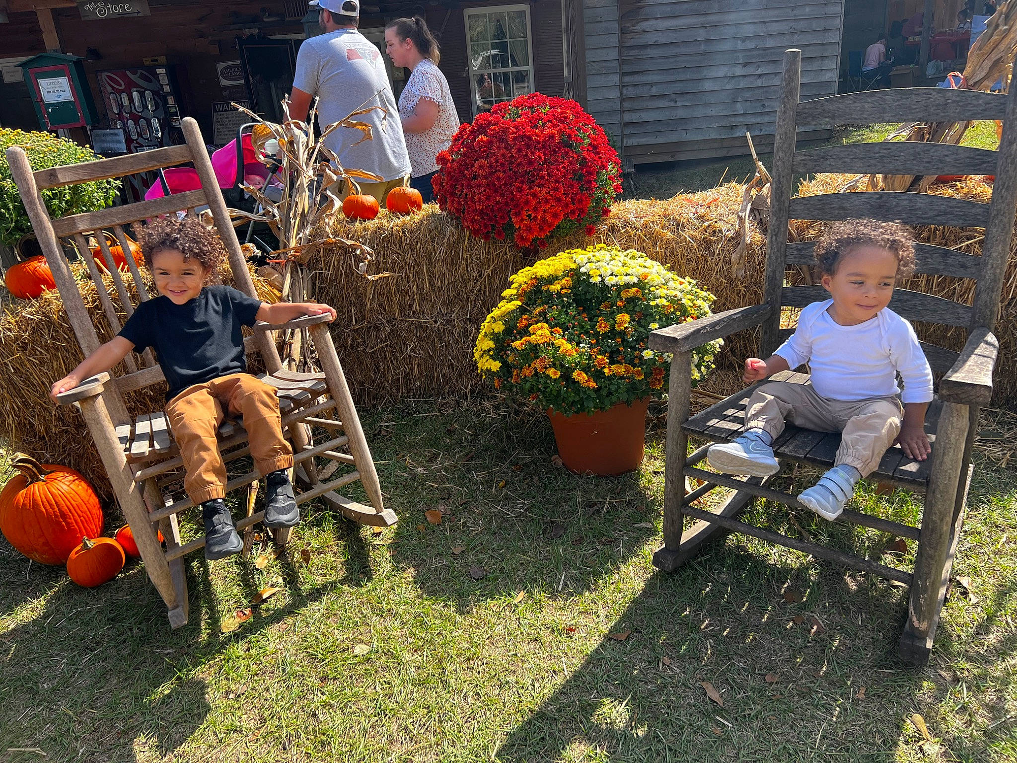 Khalil is registered to the contest to win money with this photo: annual_plant, chair, event, floral_design, floristry, flower, flowerpot, fun, garden, grass, houseplant, joy, landscape, landscaping, lawn, leisure, orange, person, plant, shrub