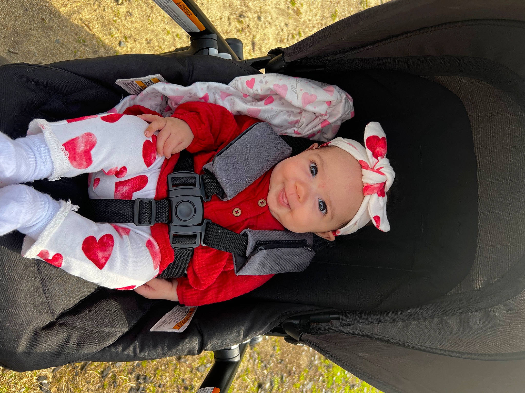 Kaylani joined the competition — help win amazing prizes! baby, baby_carriage, baby_products, baby_toddler_clothing, car_seat, carmine, child, comfort, costume, event, family_car, fashion_accessory, fun, hat, headwear, person, plant, smile, toddler, tree