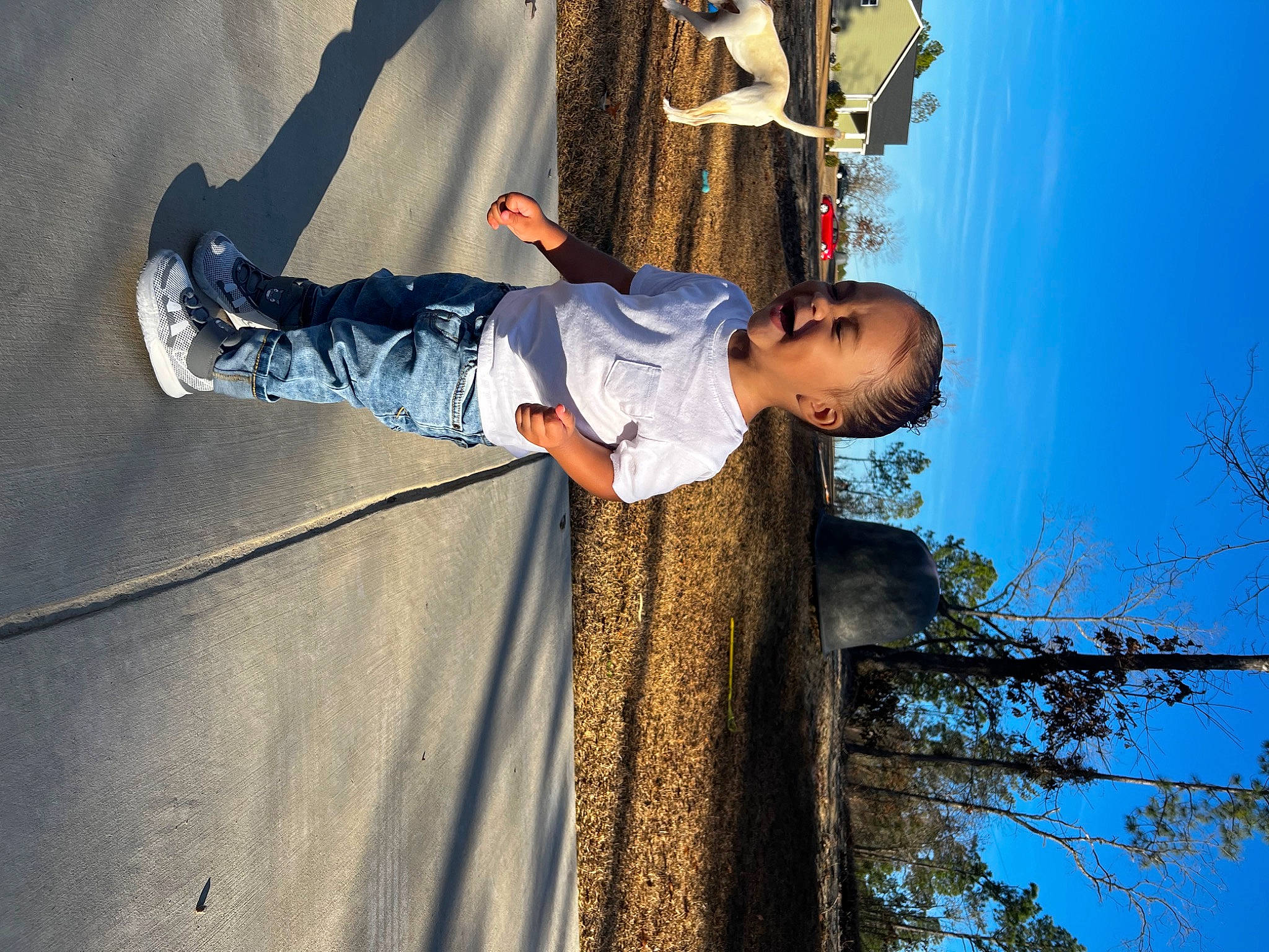 Kalii joined the competition — help win amazing prizes! azure, elbow, electric_blue, fun, happy, leisure, line, person, plant, shadow, sky, toddler, tree, trunk, wall, wood, world