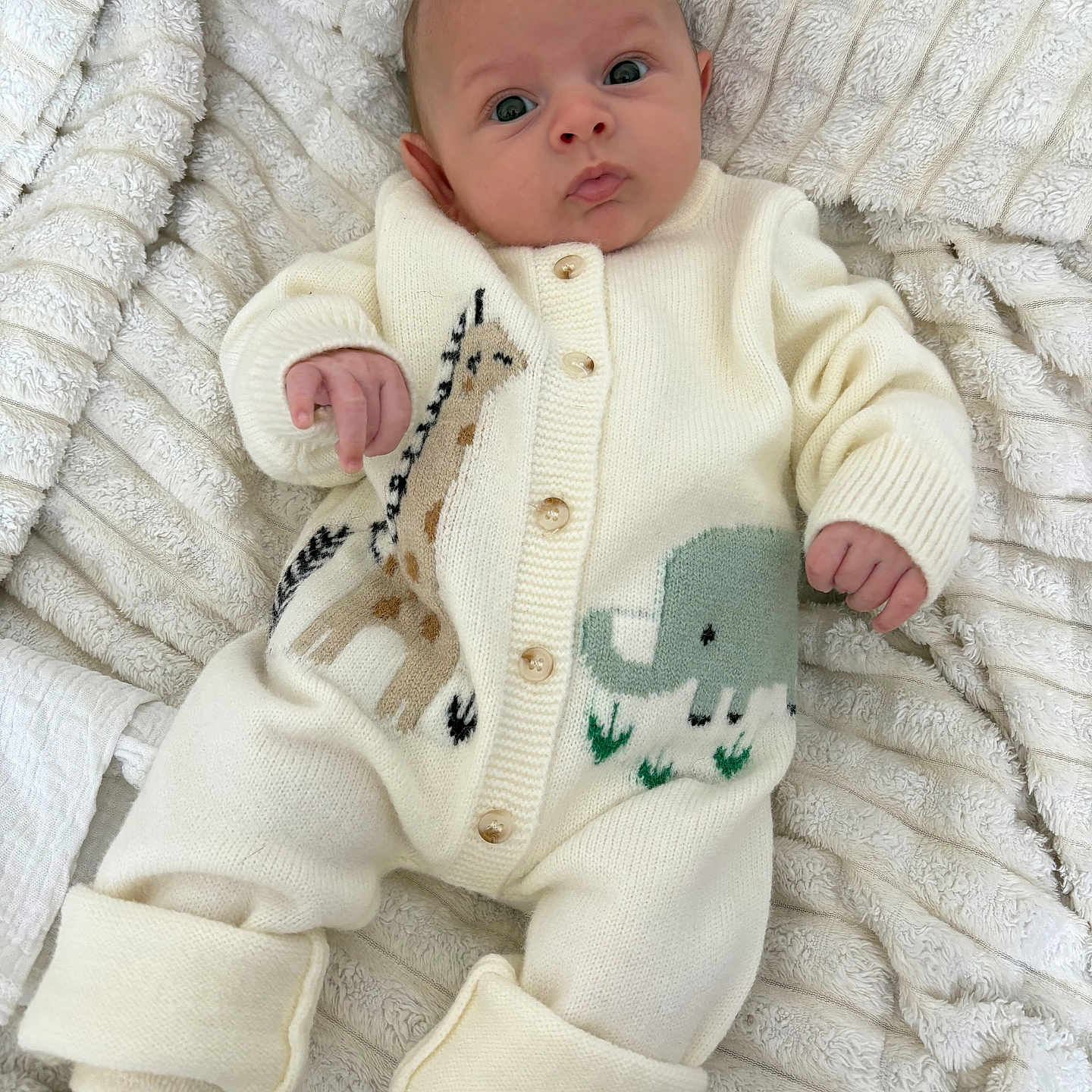 Louis-Andreas a rejoint le concours — aidez-le/la à gagner de superbes lots ! baby, blanket, child, cozy, cute, elephant, expression, giraffe, indoor, infant, knitwear, laying_down, newborn, onesie, pattern, person, portrait, sleepwear, soft, texture