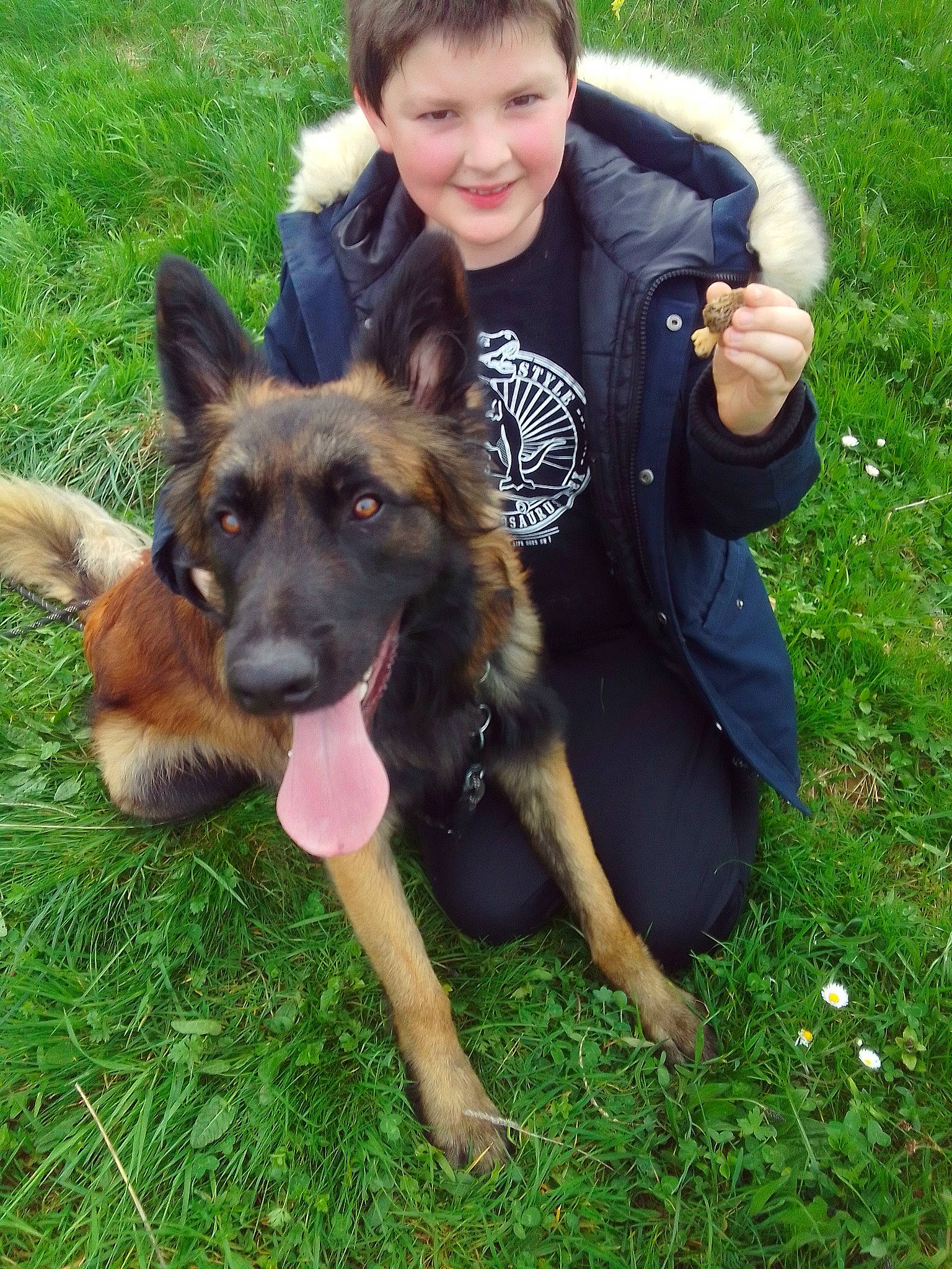 Jupiter a rejoint le concours — aidez-le/la à gagner de superbes lots ! canidae, carnivore, companion_dog, dog, dog_breed, east_european_shepherd, fun, fur, german_shepherd_dog, grass, guard_dog, happy, herding_dog, king_shepherd, old_german_shepherd_dog, plant, sharing, smile, sporting_group, working_dog